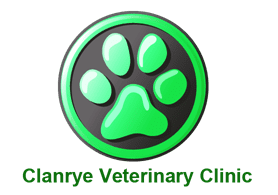 Clanrye Vets